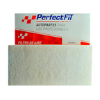 Filtro de aire para motor Volkswagen, Seat, Audi TT 
 - Perfectfit Autopartes