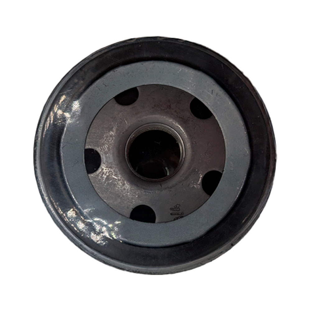 Filtro de aceite Audi, Seat, Volkswagen 
 - Perfectfit Autopartes